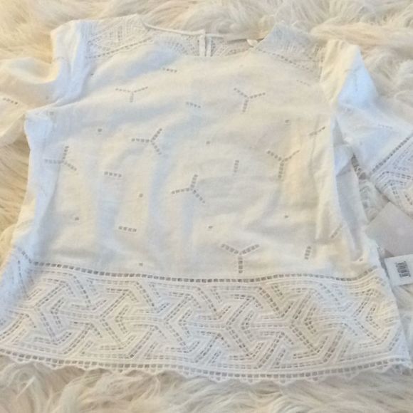 💞NORDSTROM Collection 💞stunning eyelet blouse - Picture 2 of 16